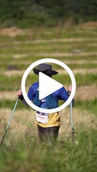 BIB:  <button type="button" onclick="openModal(26787066)" class="btn btn-primary btn-sm float-right" data-toggle="modal" data-target=".modal-high-quality">
                <i class="fa fa-download"></i> Download
                </button>